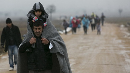 Обама обсудил с Меркель предстоящий Всемирный саммит по делам беженцев