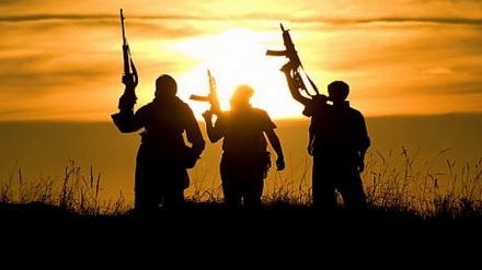 各方为打击恐怖主义展开合作