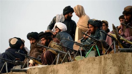 عملیات جدید طالبان علیه داعش در بگرامی کابل  