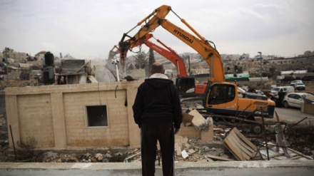 New report reveals Israeli occupying regime demolishes over 2,000 Palestinian Bedouin homes per year