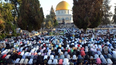 Migliaia di palestinesi celebrano la preghiera del venerdì nella moschea Aqsa