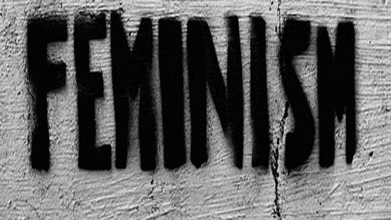 Feminizmi dhe kritika e bazave, mësimeve dhe pasojave të tij