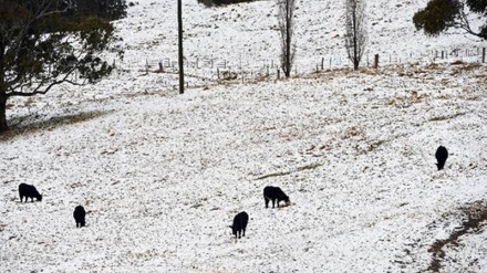 Svizzera: inondazioni e danni nel nord dopo violente tempeste