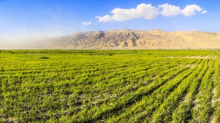 Pođite sa nama u Iran (16.02.2016)