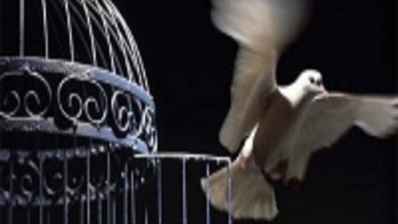 Islam, la mia scelta(108): La storia di Katrin