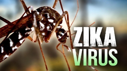 Kirusi cha Zika chahatarisha maisha ya watu bilioni 2 Afrika na Asia