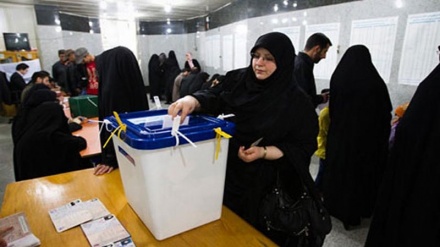 Elections: Introduction of organizations that study possible election irregularities