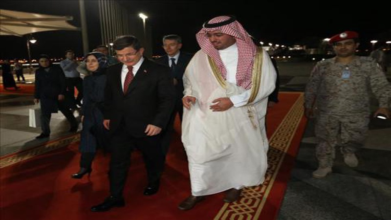 Davutoglu u dvorcu Ale Sauda