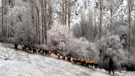 יום מושלג בצפון מערב איראן