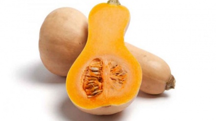 イランのカボチャ