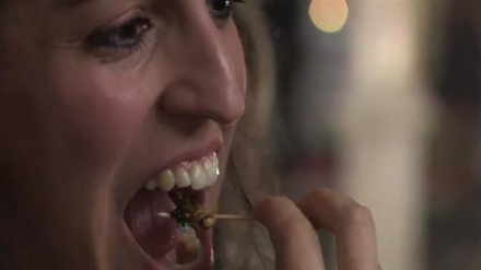 オーストリアの食品会社が色とりどりの昆虫料理を提供（映像）
