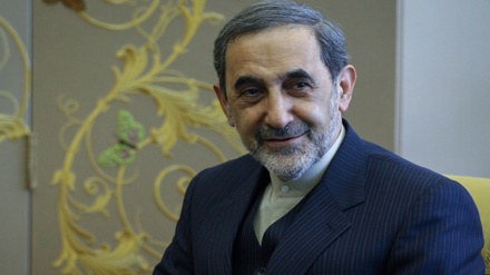 イラン最高指導者顧問、「イランは医療研究の分野に関して地域で首位」