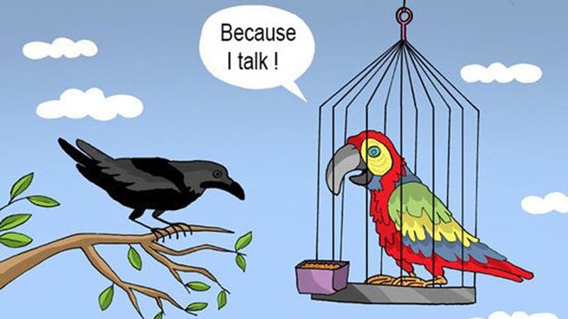 Derechos Humanos Islámicos 32