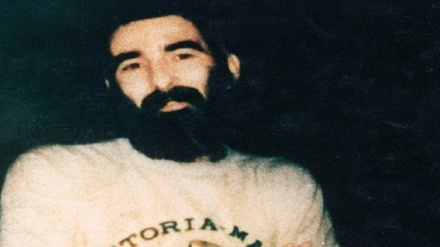 Cari Ron Arad, Israel Kontak Hizbullah Lebanon 