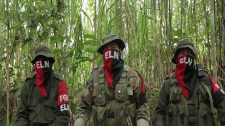 ELN inicia paro dejando sin electricidad a tres municipios