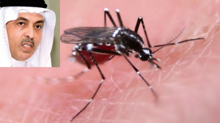 Obznanjena povezanost virusa 
