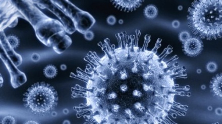 Medicina: scoperte cellule immunitarie attive contro ogni tipo di virus influenzale
