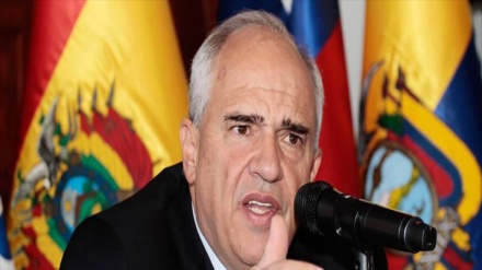 Unasur y Mercosur se unen para combatir el virus Zika