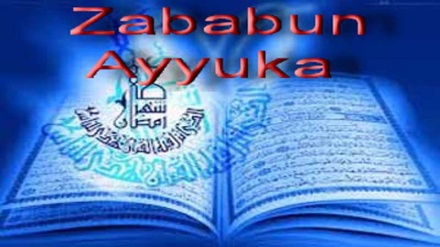 Zababbun Ayyuka