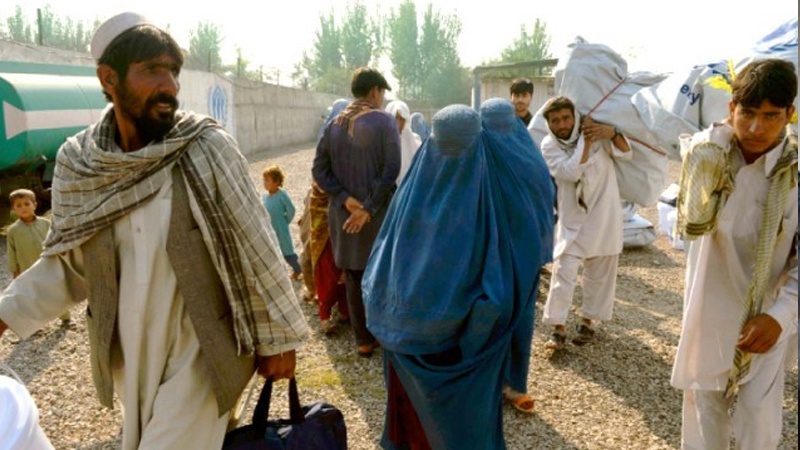 آلمان بیش از 12 هزار پناهجوی افغان را اخراج می کند