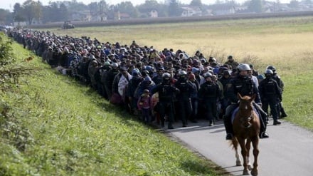 קנצלרית גרמניה וקנצלר אוסטריה דנו בסוגיית המהגרים