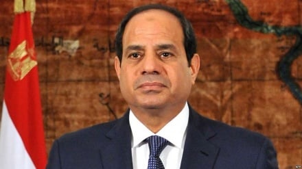Egipto aboga por una solución política para la paz en Siria
