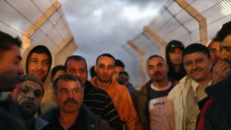 נטישת הפנס המקומי