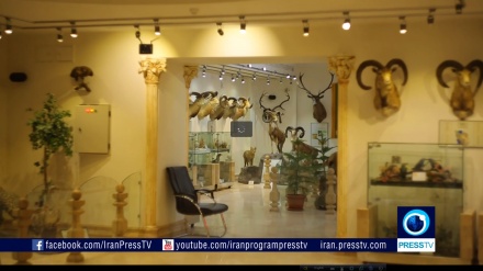 তেহরানে অবস্থিত বন্যপ্রাণী বিষয়ক মিউজিয়াম  