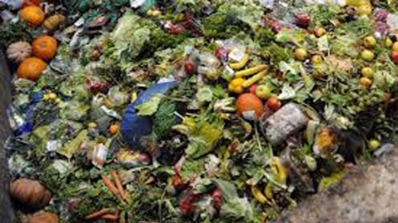 América Latina desperdiça até 348.000 toneladas de alimentos por dia (FAO)