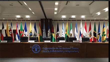 Latinoamérica y Caribe, seguridad alimentaria y cambio climático 