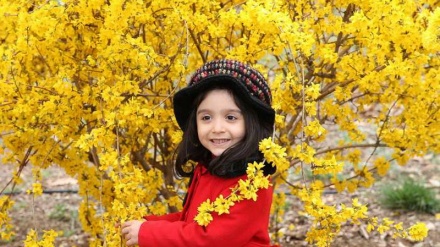 Национальный ботанический сад Ирана 