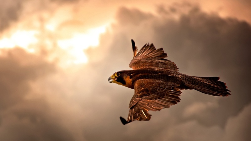 Tregimet dhe legjendat iraniane