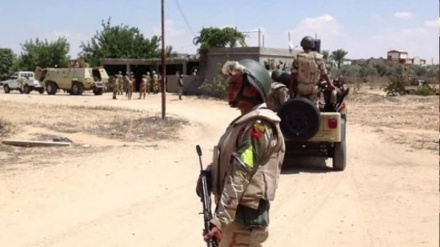 数名武装分子在埃及北部被打死