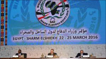 An Bude Taron Hadin Gwiwa Na Kasashen Larabawa Da Afirka Kan Ta'addanci