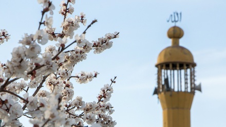 Proljetno lice grada