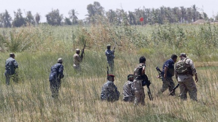 نیروهای عراقی 45 روستا در صحرای غربی استان الانبار را پاکسازی کردند