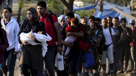 Blokirani prolazi krijumčarenja migranata na srpskim granicama