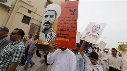 Reasons behind prolongation of Bahraini revolution (1) 