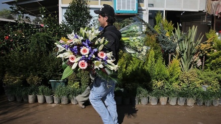 ইরানি নববর্ষের আগে তেহরানে বসেছে ফুলের বাজার