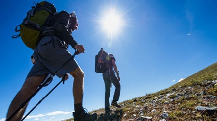 スポーツを覚えることで脳が活性化