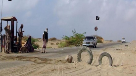 Al Qaeda Dipukul Mundur dari Al Bayda, Yaman