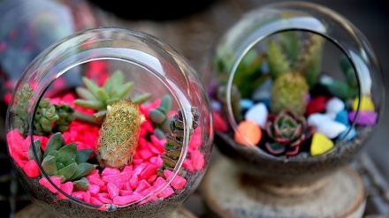 Iraníes se preparan para el año nuevo persa, Noruz