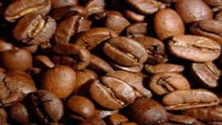 Países da América Latina respaldam Colômbia na busca da rentabilidade de cafeicultores