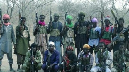 Boko Haram yadhibiti mji wa mpaka na Niger