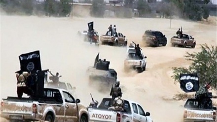 Harakati za kigaidi zashika kasi Sinai Kaskazini, Misri