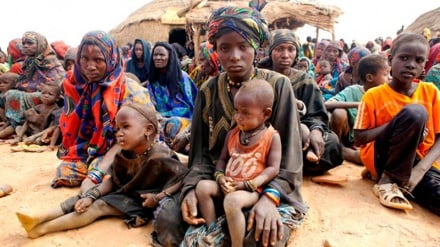 La crise  humanitaire au Sahel:  près de 29 millions de personnes en détresse
