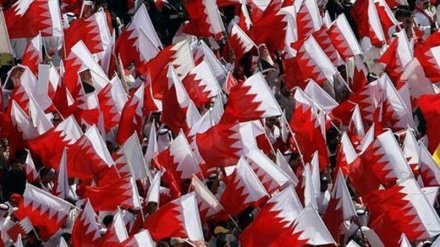 Reasons behind prolongation of Bahraini revolution (2) 