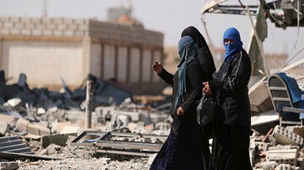 シリアの停戦への様々な見方