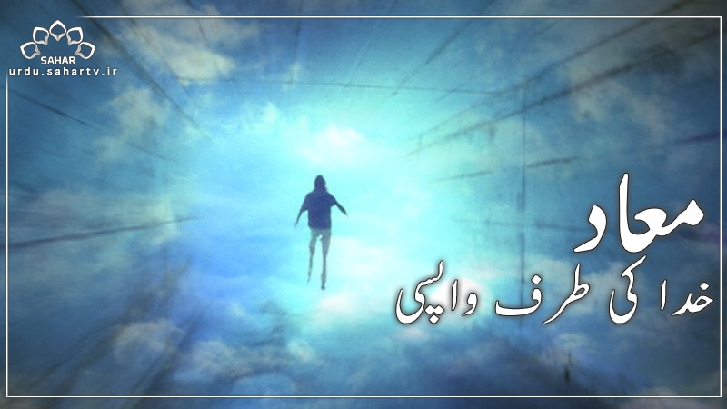 اسلام وپېژنوو (208)