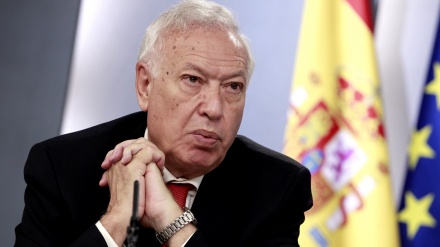 Margallo lamenta que Sánchez no se haya atrevido a vetar el Brexit